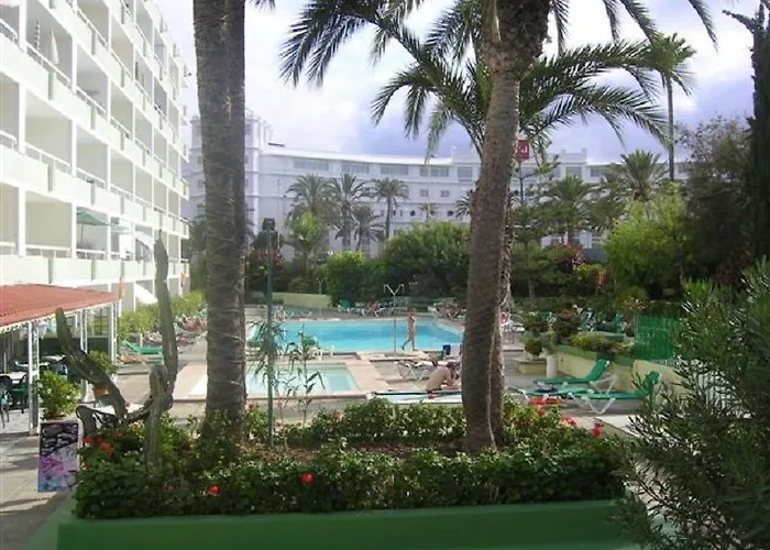 Aguacates GRAN CANARIA