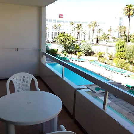 Aguacates Gran Canaria