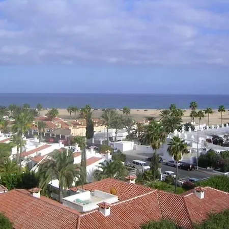 Aguacates Gran Canaria