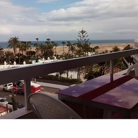 Aguacates Gran Canaria