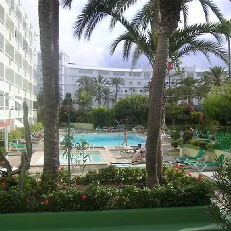 Aguacates Gran Canaria