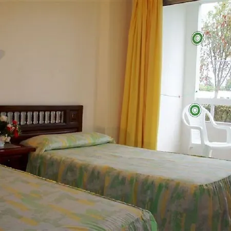 Aguacates Gran Canaria