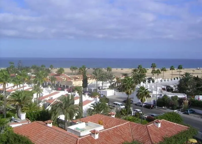 Aguacates GRAN CANARIA