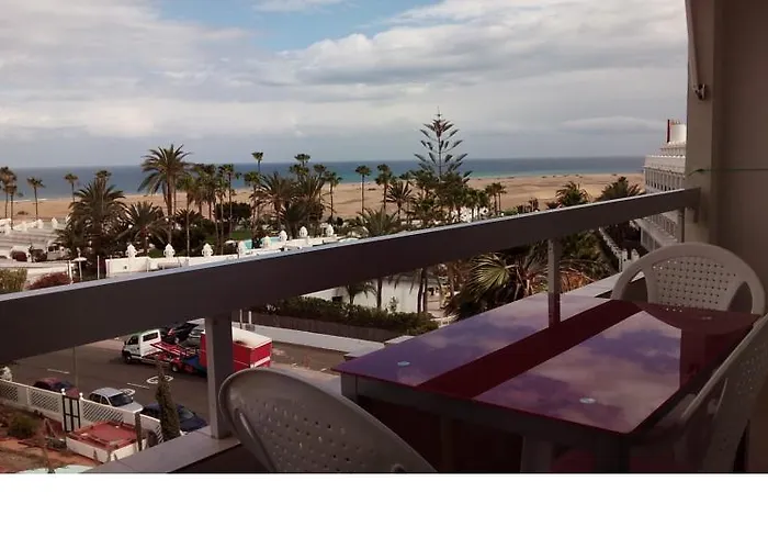 Aguacates GRAN CANARIA